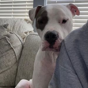 Meet your Posher, Stacy